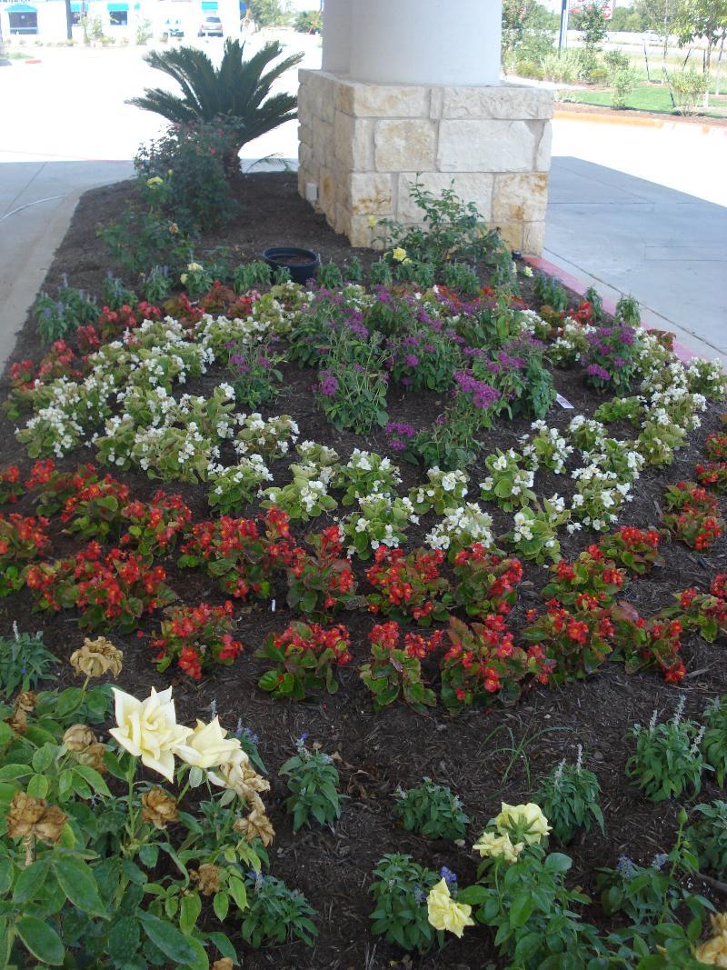 Holiday Inn Express Georgetown By Ihg Exterior photo